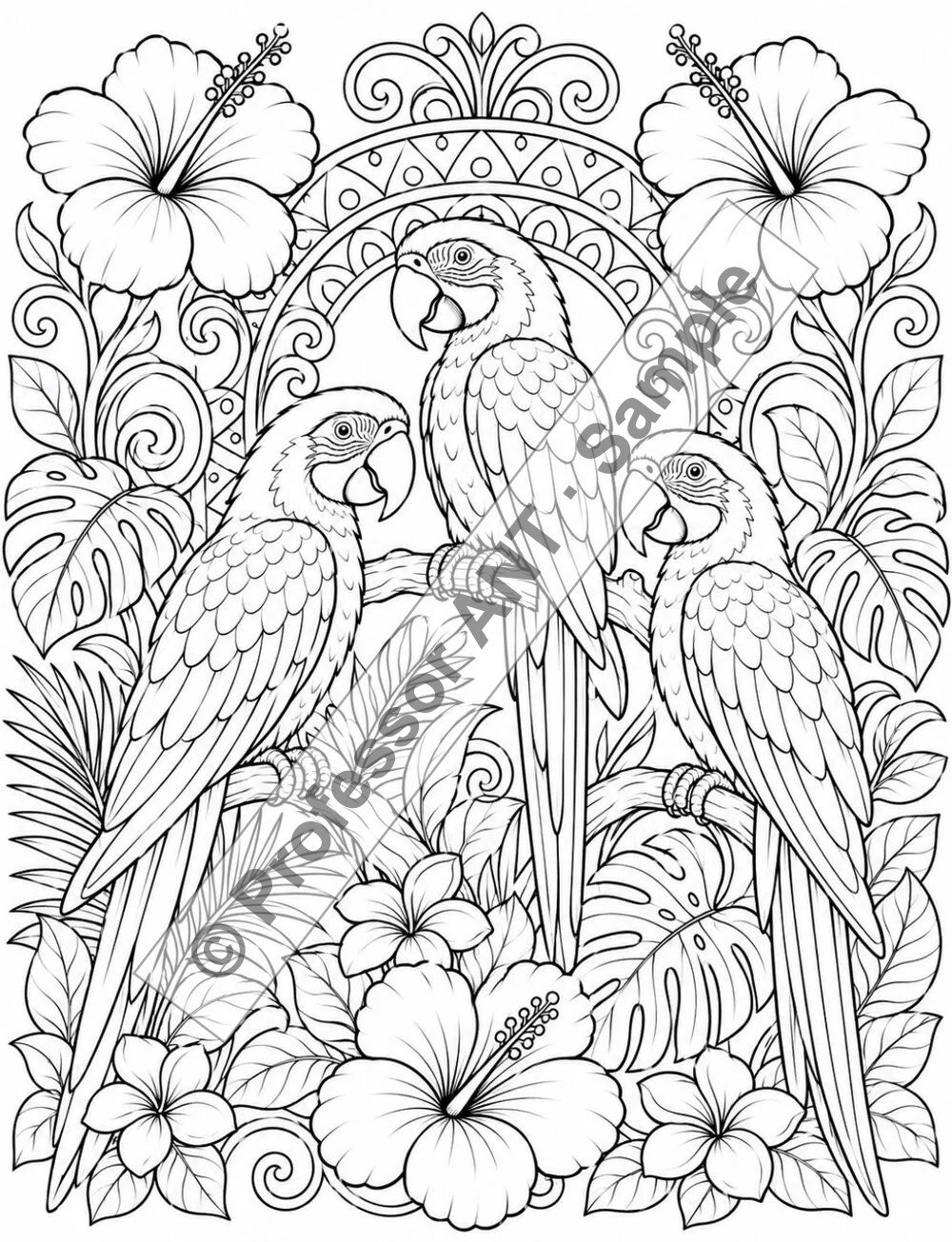 Exotic Birds coloring page 1